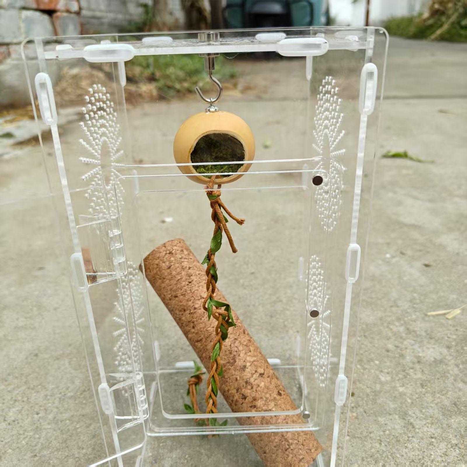 Jumping Spider Enclosure Acces - Jump Rope recension och pris