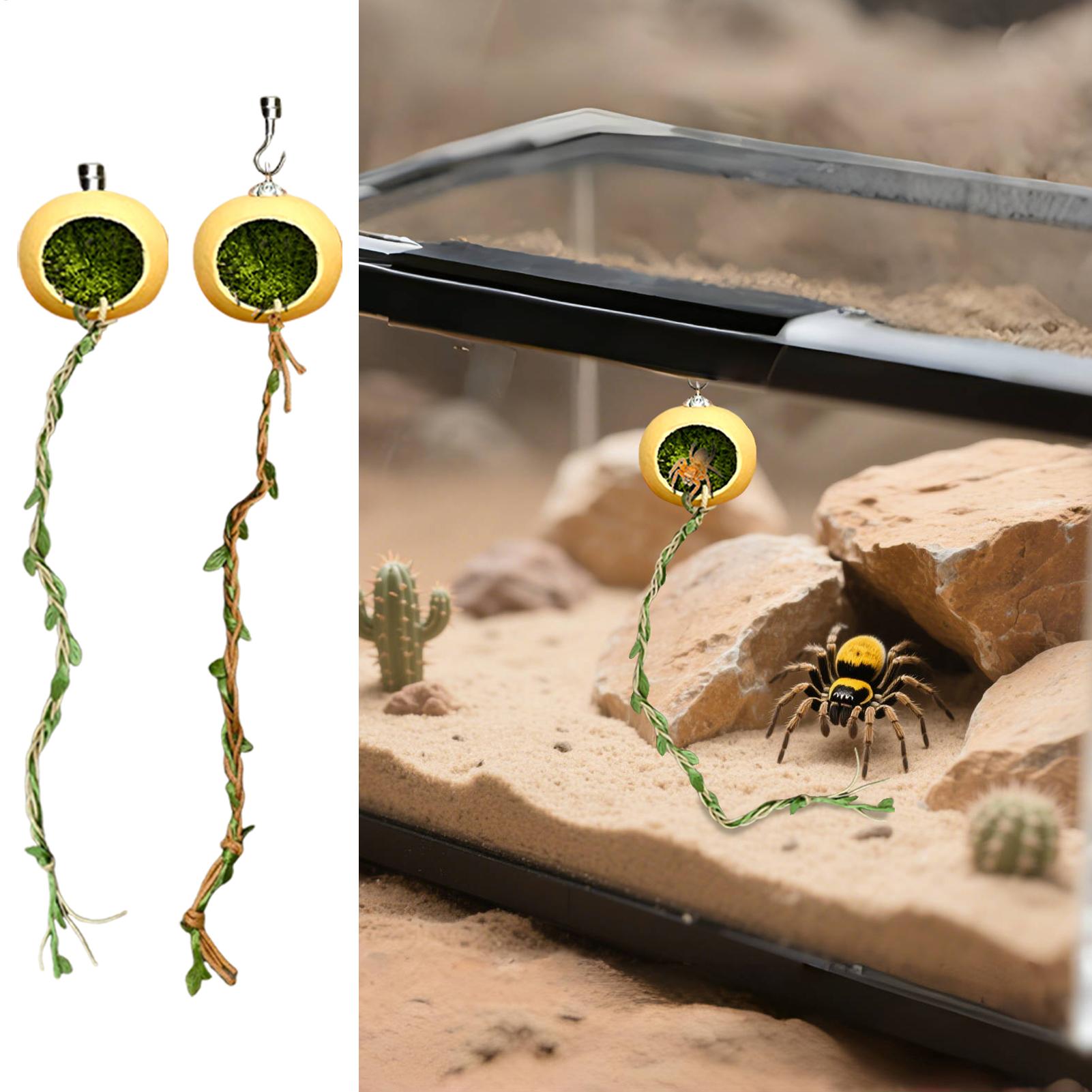 Jumping Spider Enclosure Acces - Jump Rope recension och pris