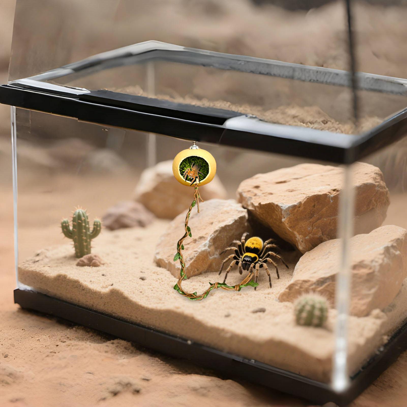Jumping Spider Enclosure Acces - Jump Rope recension och pris